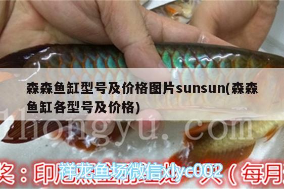 森森魚缸型號及價格圖片sunsun(森森魚缸各型號及價格) 祥龍魚場