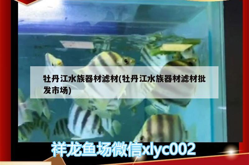 牡丹江水族器材濾材(牡丹江水族器材濾材批發(fā)市場(chǎng)) 廣州水族器材濾材批發(fā)市場(chǎng)