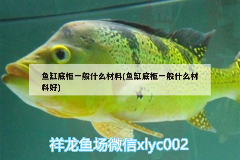 魚缸底柜一般什么材料(魚缸底柜一般什么材料好) 觀賞魚飼料