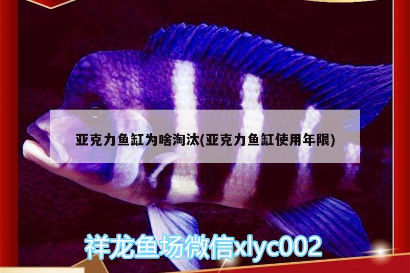 亞克力魚(yú)缸為啥淘汰(亞克力魚(yú)缸使用年限)