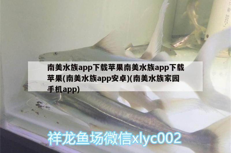 南美水族app下載蘋果南美水族app下載蘋果(南美水族app安卓)(南美水族家園手機app)