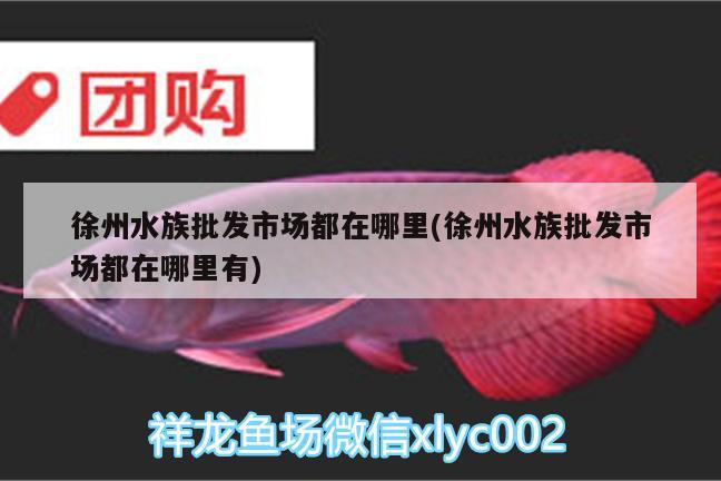 徐州水族批發(fā)市場都在哪里(徐州水族批發(fā)市場都在哪里有) 觀賞魚水族批發(fā)市場