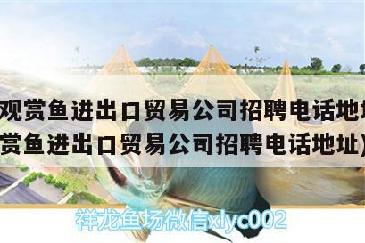 廣州觀賞魚進出口貿(mào)易公司招聘電話地址(廣州觀賞魚進出口貿(mào)易公司招聘電話地址)