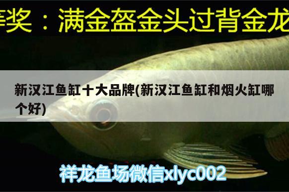 新漢江魚缸十大品牌(新漢江魚缸和煙火缸哪個好) 圣菲埃及魚