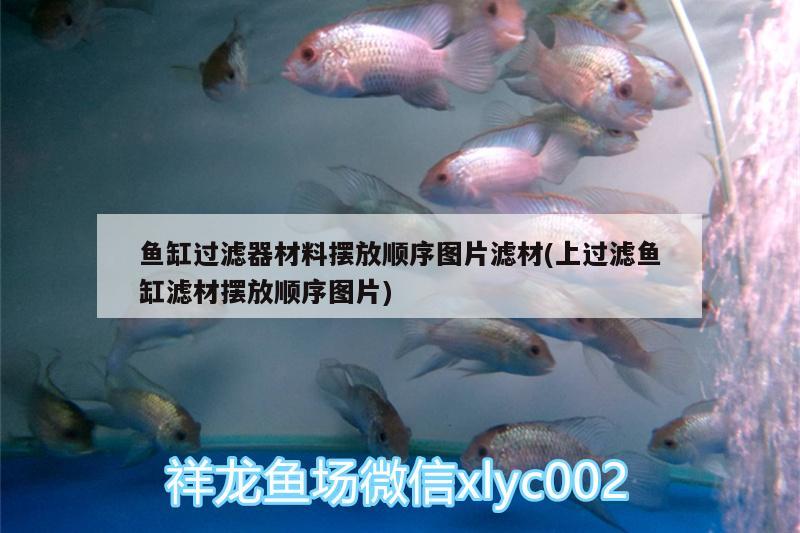 魚(yú)缸過(guò)濾器材料擺放順序圖片濾材(上過(guò)濾魚(yú)缸濾材擺放順序圖片)