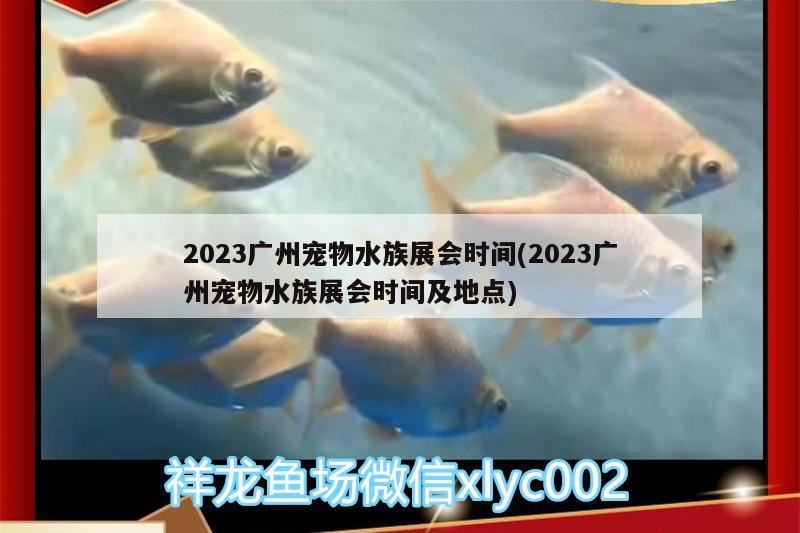 2023廣州寵物水族展會(huì)時(shí)間(2023廣州寵物水族展會(huì)時(shí)間及地點(diǎn))