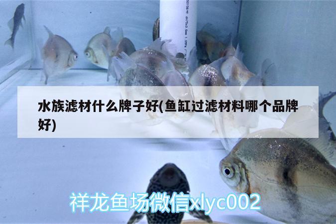 水族濾材什么牌子好(魚缸過濾材料哪個(gè)品牌好) 印尼虎苗