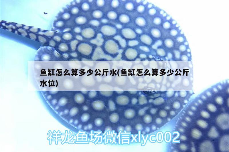 魚(yú)缸怎么算多少公斤水(魚(yú)缸怎么算多少公斤水位)