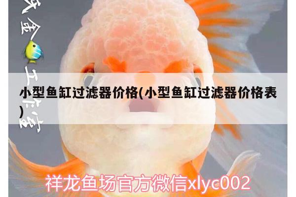 小型魚缸過濾器價格(小型魚缸過濾器價格表) 祥龍水族護(hù)理水