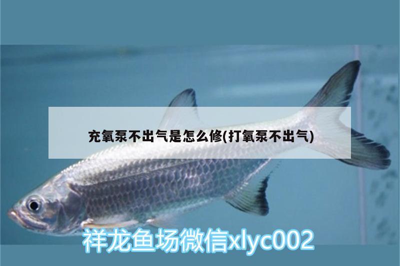 充氧泵不出氣是怎么修(打氧泵不出氣)