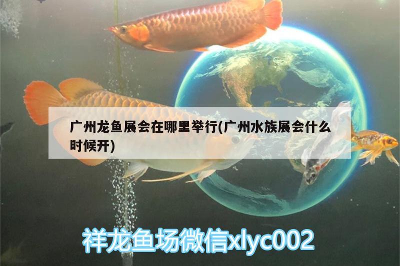 廣州龍魚展會(huì)在哪里舉行(廣州水族展會(huì)什么時(shí)候開)