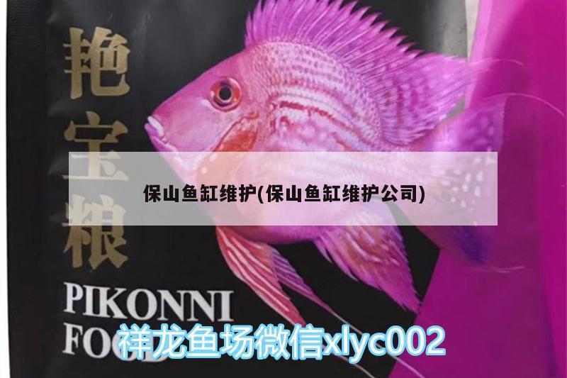 保山魚缸維護(hù)(保山魚缸維護(hù)公司) 三間鼠魚苗