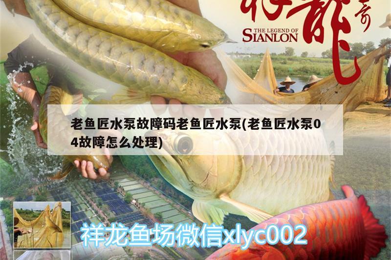 老魚匠水泵故障碼老魚匠水泵(老魚匠水泵04故障怎么處理)