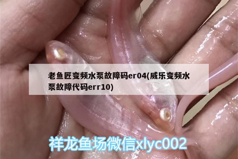 老魚(yú)匠變頻水泵故障碼er04(威樂(lè)變頻水泵故障代碼err10)