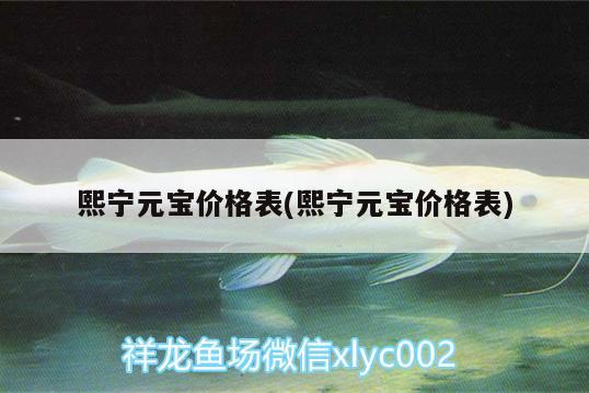 熙寧元寶價格表(熙寧元寶價格表) 魚缸水泵