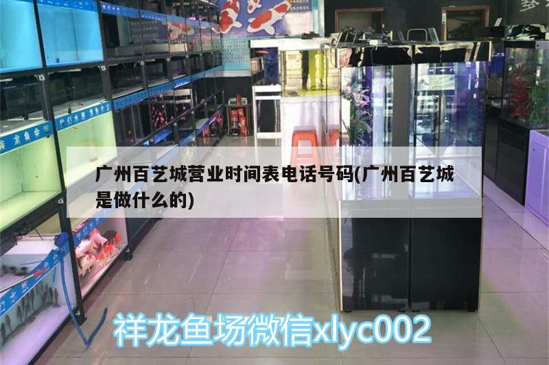 廣州百藝城營業(yè)時間表電話號碼(廣州百藝城是做什么的)