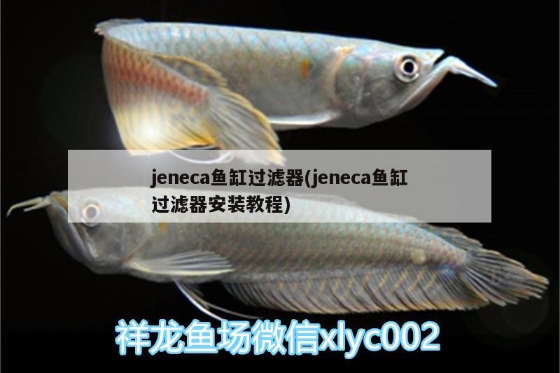 jeneca魚缸過濾器(jeneca魚缸過濾器安裝教程)