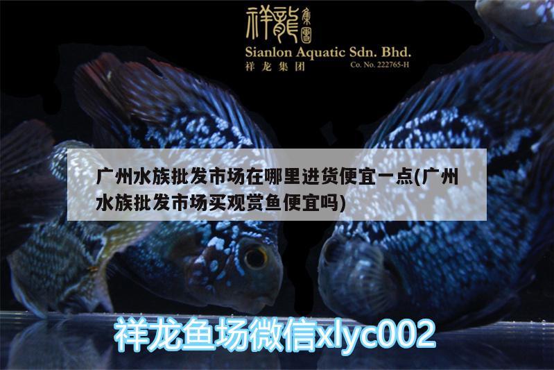 廣州水族批發(fā)市場在哪里進(jìn)貨便宜一點(diǎn)(廣州水族批發(fā)市場買觀賞魚便宜嗎)