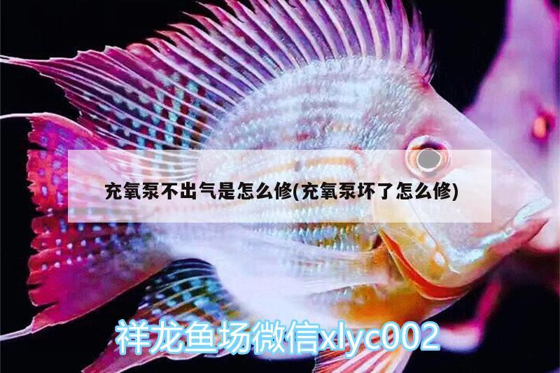 充氧泵不出氣是怎么修(充氧泵壞了怎么修) 水族世界