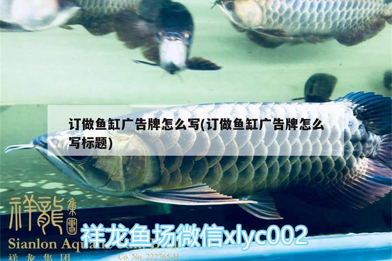 訂做魚(yú)缸廣告牌怎么寫(xiě)(訂做魚(yú)缸廣告牌怎么寫(xiě)標(biāo)題) 三色錦鯉魚(yú)