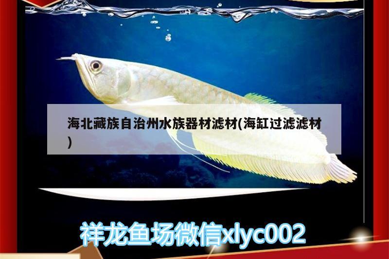 海北藏族自治州水族器材濾材(海缸過濾濾材) 申古三間魚