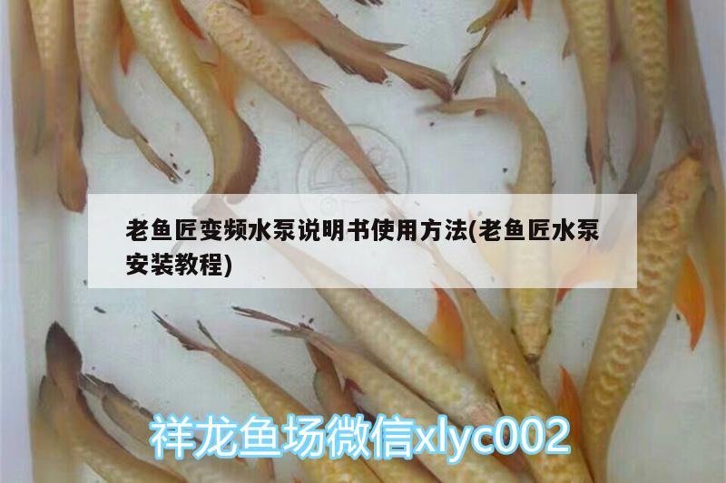 老魚匠變頻水泵說明書使用方法(老魚匠水泵安裝教程) 老魚匠