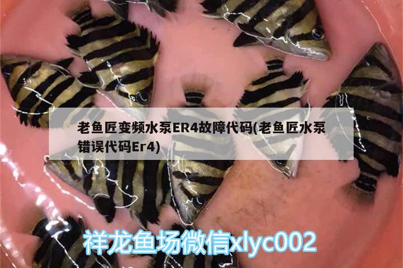 老魚匠變頻水泵ER4故障代碼(老魚匠水泵錯誤代碼Er4) 老魚匠