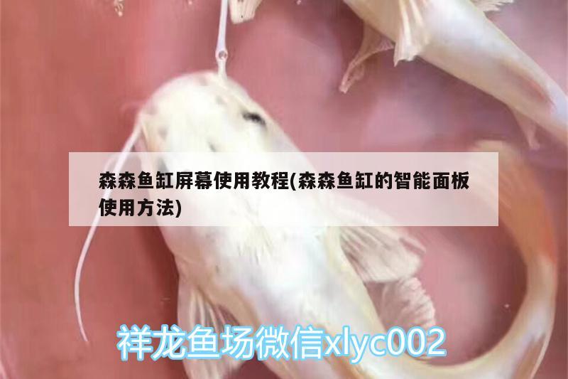 森森魚缸屏幕使用教程(森森魚缸的智能面板使用方法) 水族雜談