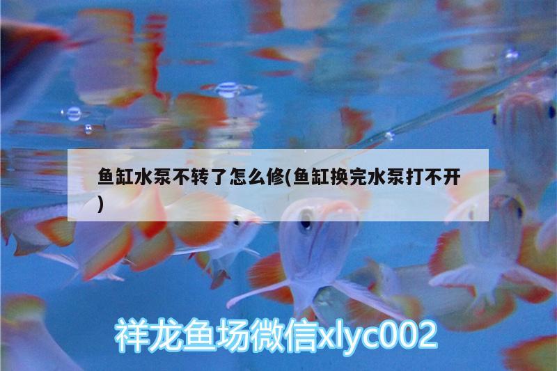 魚(yú)缸水泵不轉(zhuǎn)了怎么修(魚(yú)缸換完水泵打不開(kāi))