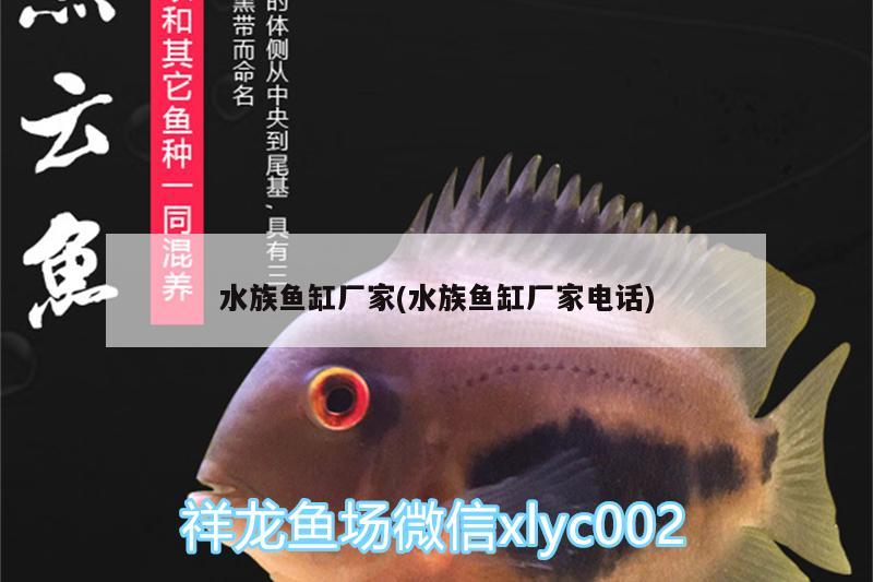 水族魚缸廠家(水族魚缸廠家電話) 虎魚百科