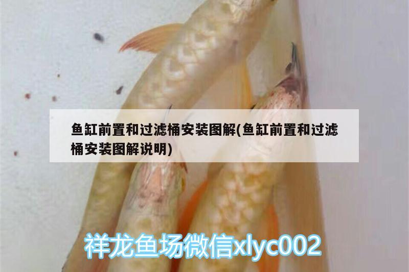 魚缸前置和過濾桶安裝圖解(魚缸前置和過濾桶安裝圖解說明)