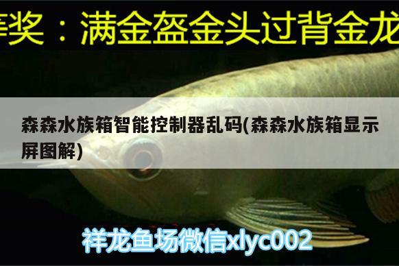 森森水族箱智能控制器亂碼(森森水族箱顯示屏圖解) 魚缸/水族箱