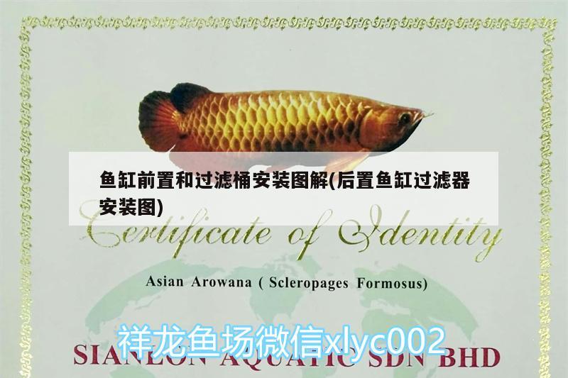 魚缸前置和過濾桶安裝圖解(后置魚缸過濾器安裝圖) 魟魚百科