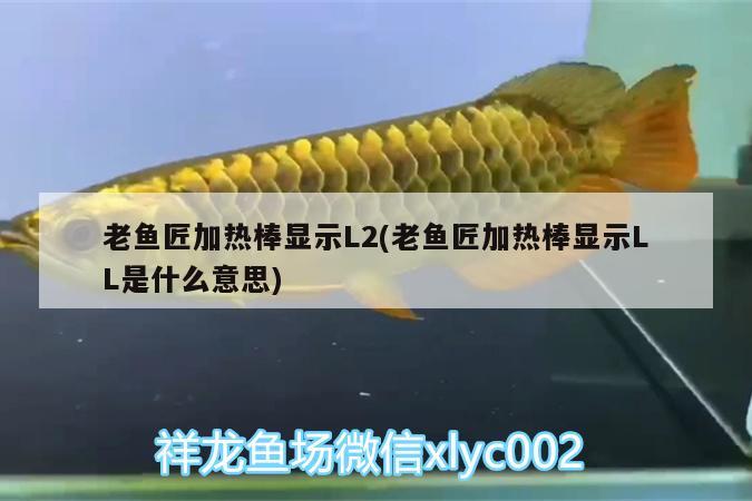 老魚匠加熱棒顯示L2(老魚匠加熱棒顯示LL是什么意思) 老魚匠