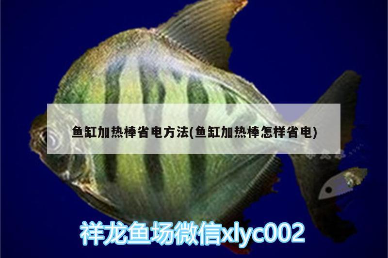 魚缸加熱棒省電方法(魚缸加熱棒怎樣省電) 肥料