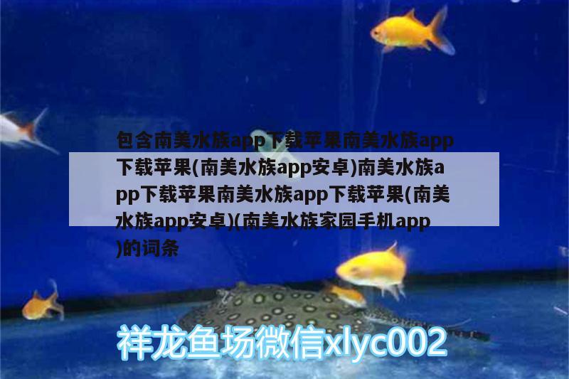 包含南美水族app下載蘋果南美水族app下載蘋果(南美水族app安卓)南美水族app下載蘋果南美水族app下載蘋果(南美水族app安卓)(南美水族家園手機(jī)app)的詞條