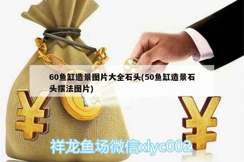 60魚缸造景圖片大全石頭(50魚缸造景石頭擺法圖片)