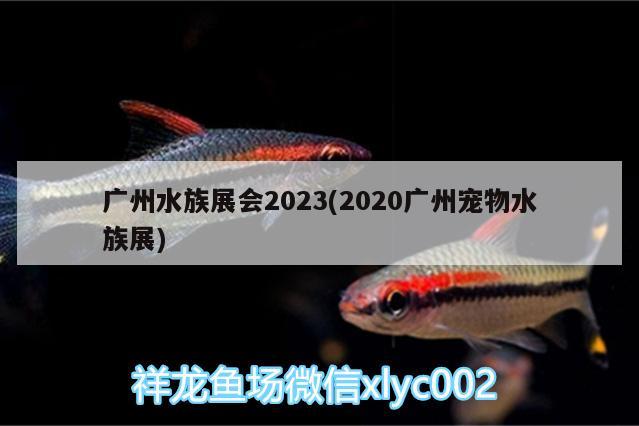 廣州水族展會2023(2020廣州寵物水族展)