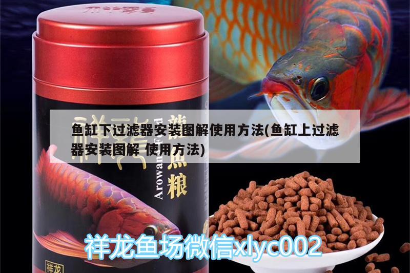 魚缸下過濾器安裝圖解使用方法(魚缸上過濾器安裝圖解使用方法)