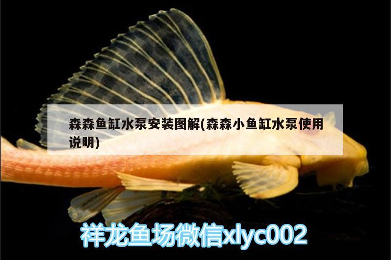 森森魚缸水泵安裝圖解(森森小魚缸水泵使用說明)