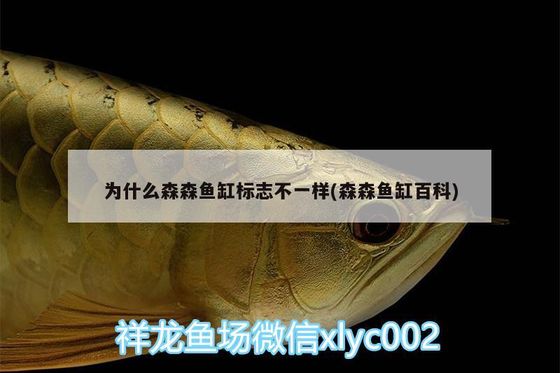 為什么森森魚缸標(biāo)志不一樣(森森魚缸百科)