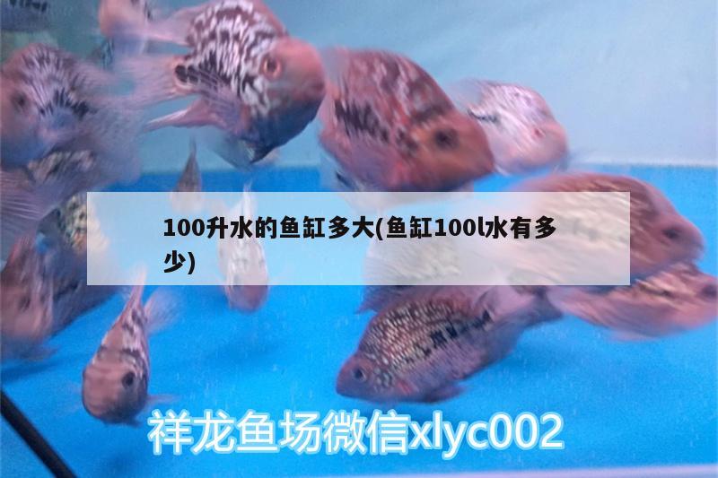 100升水的魚(yú)缸多大(魚(yú)缸100l水有多少)