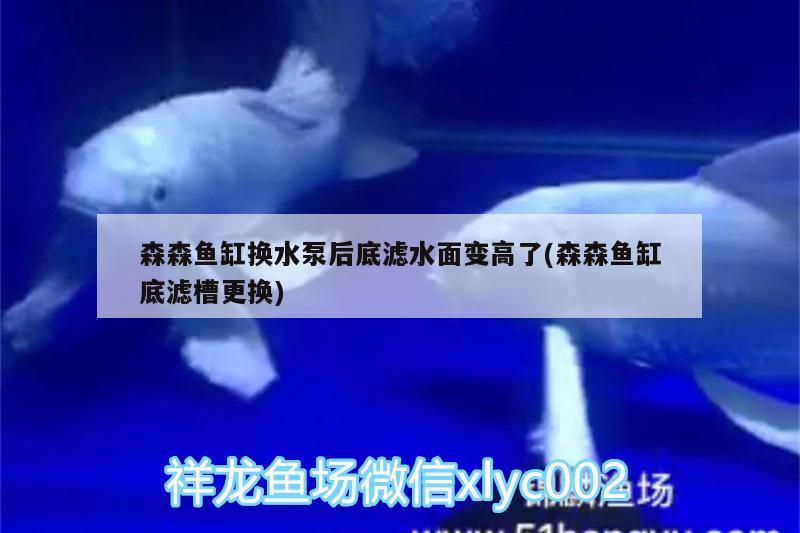 森森魚缸換水泵后底濾水面變高了(森森魚缸底濾槽更換) 廣州水族器材濾材批發(fā)市場