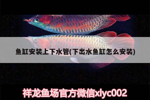 魚缸安裝上下水管(下出水魚缸怎么安裝)