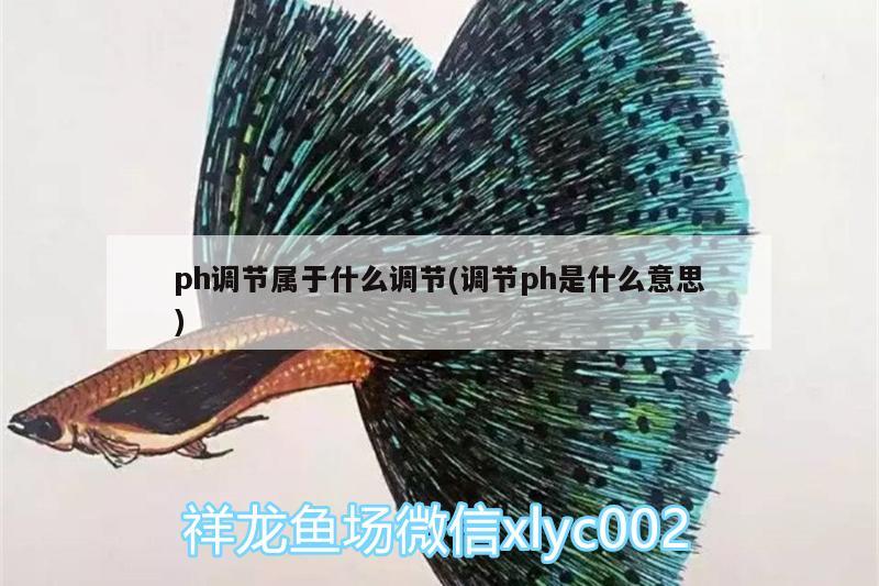 ph調(diào)節(jié)屬于什么調(diào)節(jié)(調(diào)節(jié)ph是什么意思)