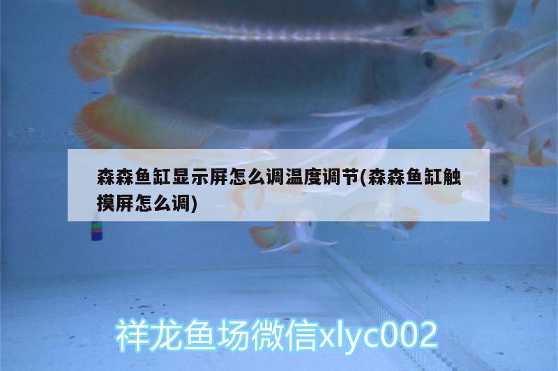 森森魚缸顯示屏怎么調(diào)溫度調(diào)節(jié)(森森魚缸觸摸屏怎么調(diào))