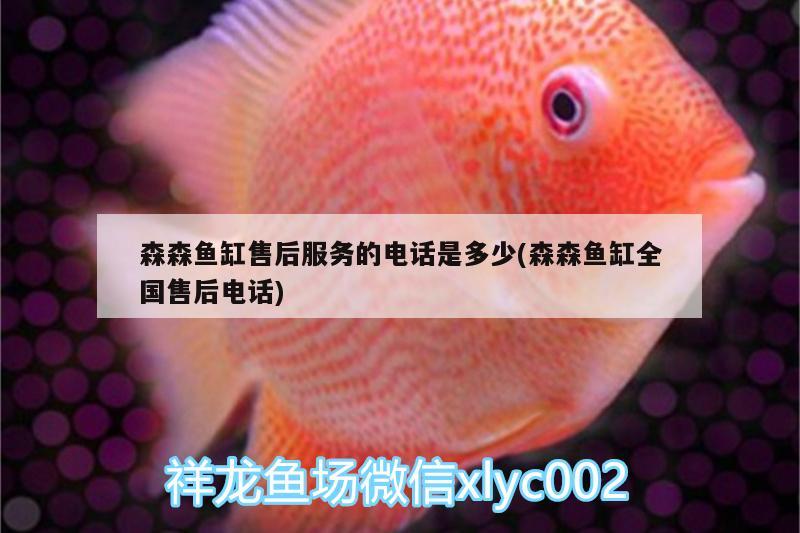 森森魚缸售后服務(wù)的電話是多少(森森魚缸全國(guó)售后電話)