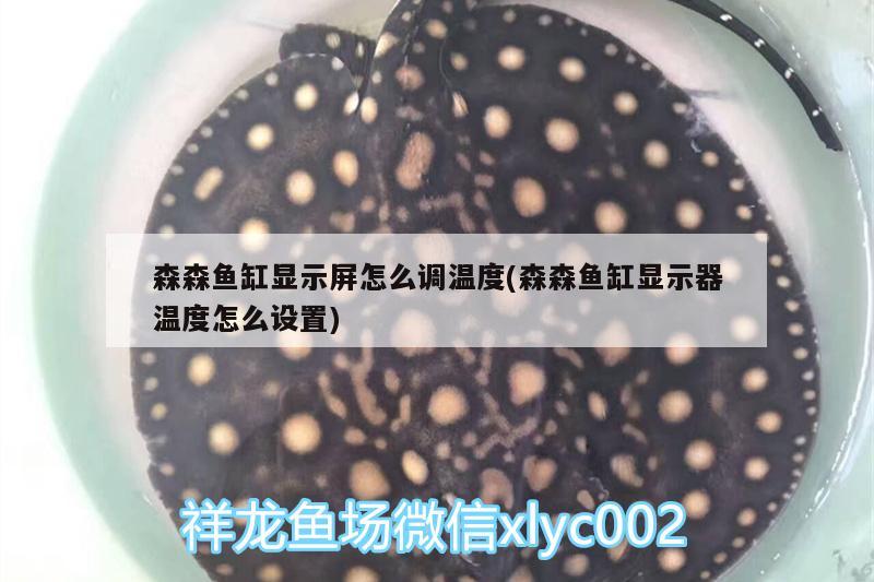 森森魚缸顯示屏怎么調(diào)溫度(森森魚缸顯示器溫度怎么設(shè)置)