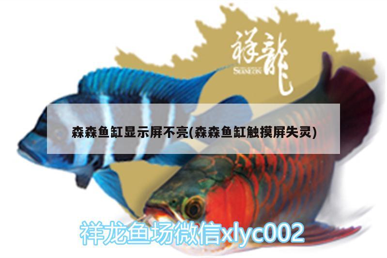 森森魚缸顯示屏不亮(森森魚缸觸摸屏失靈) 硝化細菌