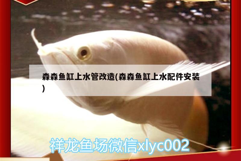 森森魚缸上水管改造(森森魚缸上水配件安裝)